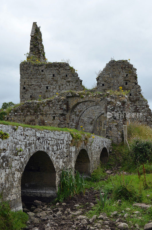 阿萨塞尔修道院中世纪废墟Co Tipperary爱尔兰垂直桥